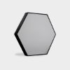 Imagen de LAMPARA LED TECHO NEGRA HEX 40W VERT