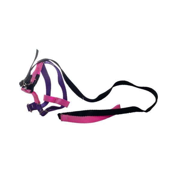 Imagen de PECHERA POLY AJUS C/P PCH01 15MM T/SS