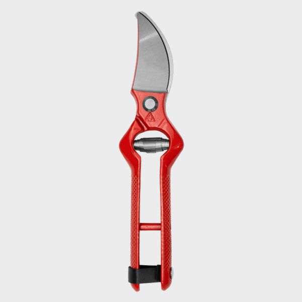 Imagen de TIJERA FRUTAL BELLOTA 35" 550122